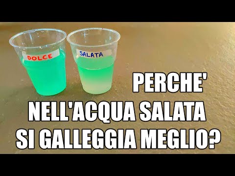 🧪💧 Acqua dolce e acqua salata: dove si galleggia meglio? (esperimento di scienze)