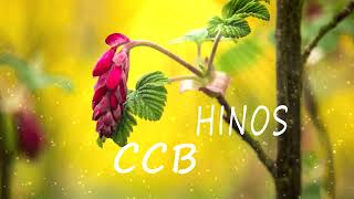 Hinos CCB Rei Roberto Carlos - Álbum Completo de Grandes Sucessos Best Hinos Ccb - Lindos Hinos