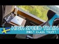 HIGH SPEED TRAIN - FIRST CLASS | Swedish SJ3000 to Stockholm