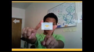 AS3 Webcam: Shrink / Expand (2008)