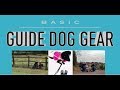 Basic Guide Dog Gear : Daily Tools for a Working Guide Dog