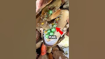 How Oysters Are Tricked Into Making PEARLS! 🦪💎