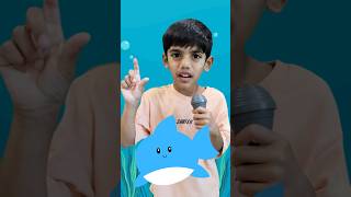Master the Baby Shark Dance With Jay & Neil! @Bebefinn