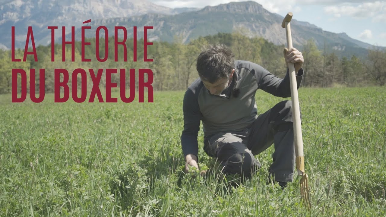 Bande-annonce : En Quête de Sens