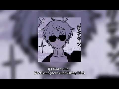If I Had a Gun - Noel Gallagher's High Flying Birds (sped up)