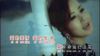 Jiu Qing De Hui Yi