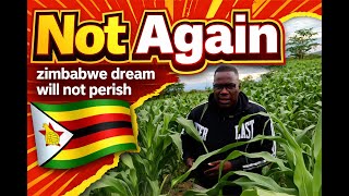Back in Zimbabwe | Dissapointed, Broke and in debt