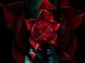 Muhammad name dpz |Muhammad name wallpaper| #wallpaper #allahdp#muhammad#viral #shorts#viralshorts