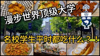 【加拿大多伦多美食探店】漫步多伦多大学 | 揭秘世界级名校学生的日常 | 宝云街美食口袋名单 | 品尝神奇的云南菜泡鲁达大救驾U of T Campus | Yunnan cuisine