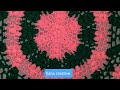 💥Very easy and beautiful🫣 crochet Thalposh design 🎊