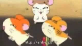 For SennaCat