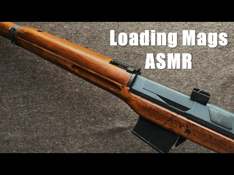 ASMR For Gun Nerds Loading Empty Mags. How Many Can You Identify?