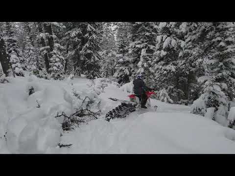 2018 Moto Trax On A CRF150R