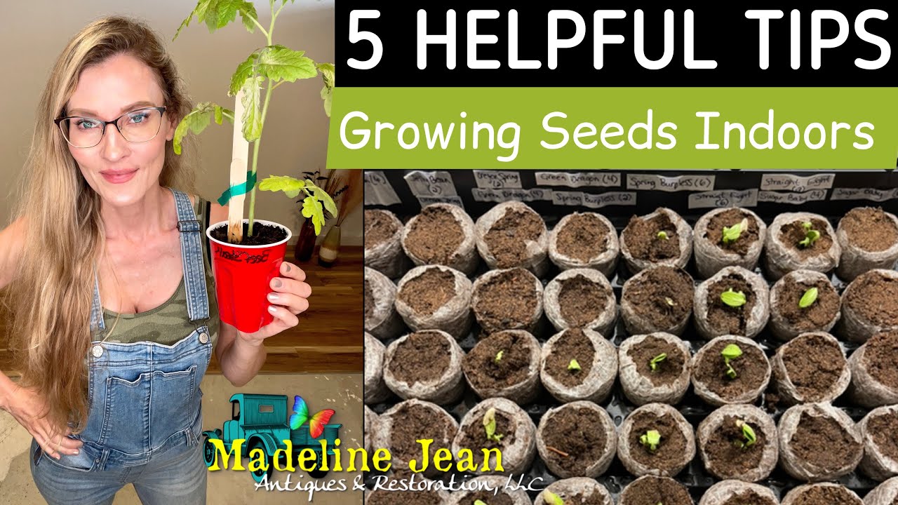 Growing Seeds Indoors 5 BEST TIPS YouTube