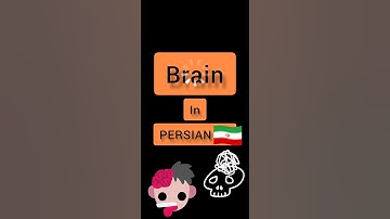 #persian #persian_music #farsi #shorts #education Persian language brain in PERSIAN 🇮🇷