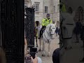 Tourist Move To Make Way For Police Horse S Horseguardsparade Tourist Move To Make Way For Police Horse S Horseguardsparade