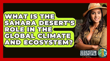 What Is The Sahara Desert