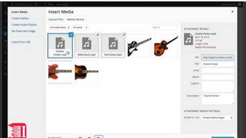 How to Add an Audio or Video PlayList in Your Wordpress Website - ISPAZE.COM