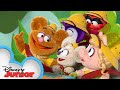 Backyard Safari | Muppet Babies | @Disney Junior