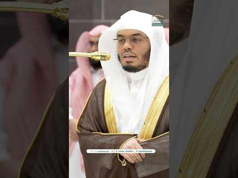إن المتقين في ظلال وعيون تلاوة تحبيرية بديعة للشيخ ياسر الدوسري صلاة العشاء 16 رجب 1446ه