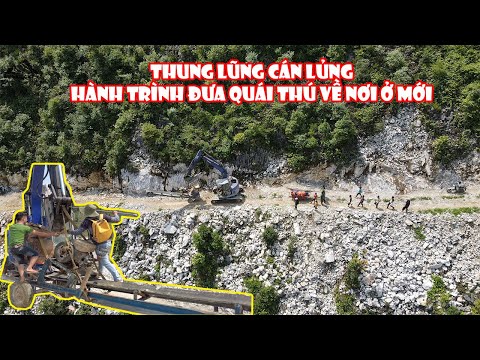 Video #188 Bắt đầu hành trình đưa 
