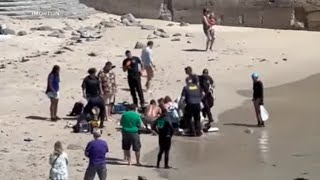 Shark attack at Florida beach leaves teenage girl seriously injured | ABC7