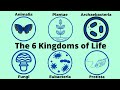 Classifying Life: The Six Kingdoms of Organisms