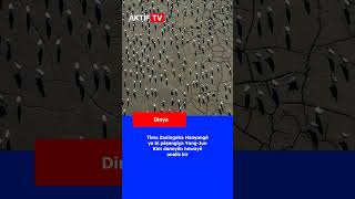 Dinya germ dibe hişkatî û germa zêde heşt qatî zêde bûn