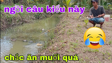 câu cá lóc bằng vịt và con cá lóc táp lênh bờ quá nhanh NI NGUYỄN TV #82