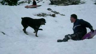 SnowPlay 001.AVI