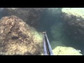 Каракатица,подводная охота