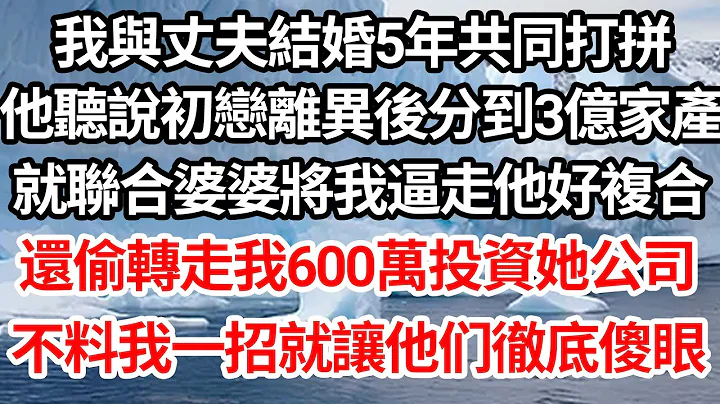 我与丈夫结婚五年共同打拼，他听说初恋离异后分到3亿家产，就联合婆婆将我逼走他好复合，还偷转走我600万投资她公司，不料我一招就让他们彻底傻眼【伦理】【都市】 - 天天要闻