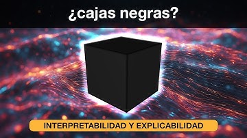 INTERPRETABILIDAD y EXPLICABILIDAD en la Inteligencia Artificial