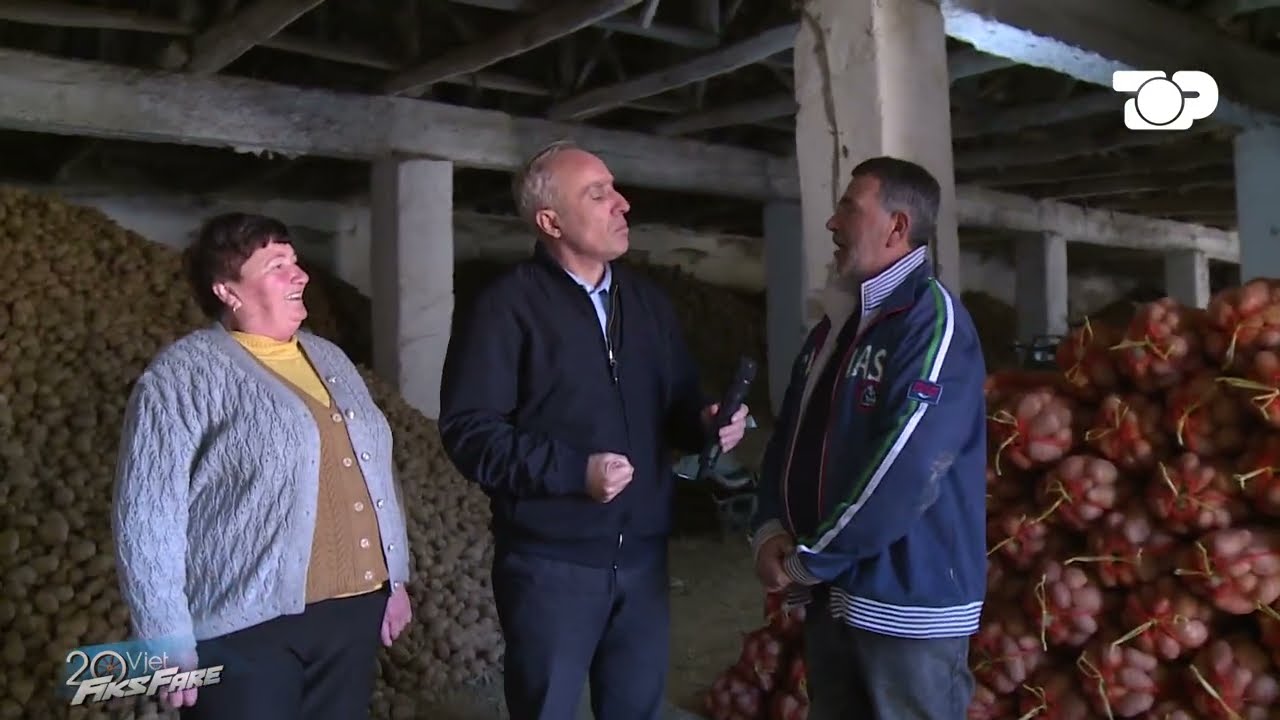 Fiks Fare/ Fermërët: S' ka lehtësi dhe siguri për subvencionin e grurit!