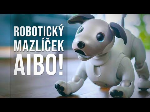 Video: Koľko stojí robotický pes Aibo?