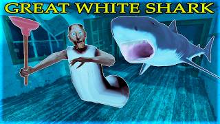Granny vs Great White Shark: Flood in Granny House | 3D Animation Story