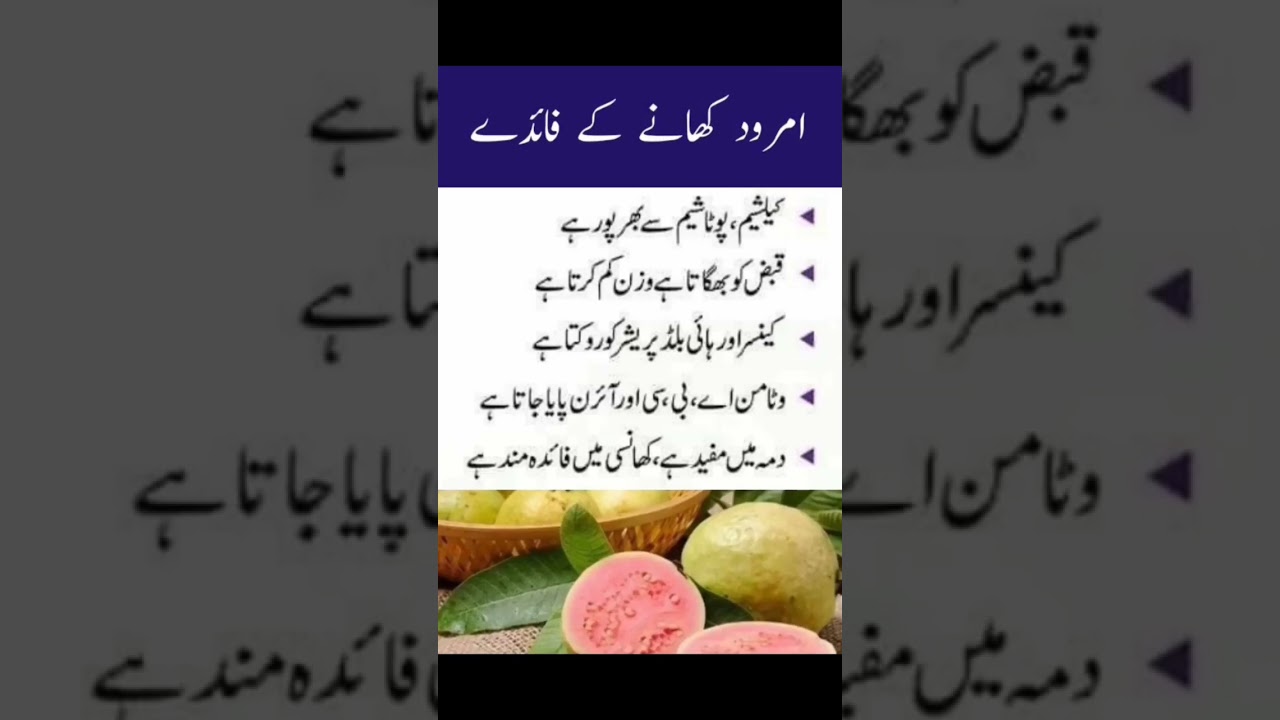 امرود کھانے کے حیرت انگیز فوائد 