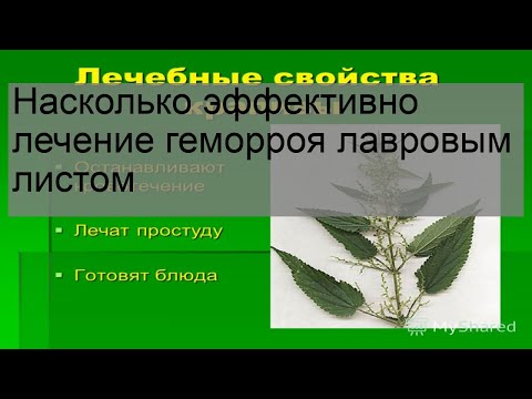 Насколько эффективно лечение геморроя лавровым листом