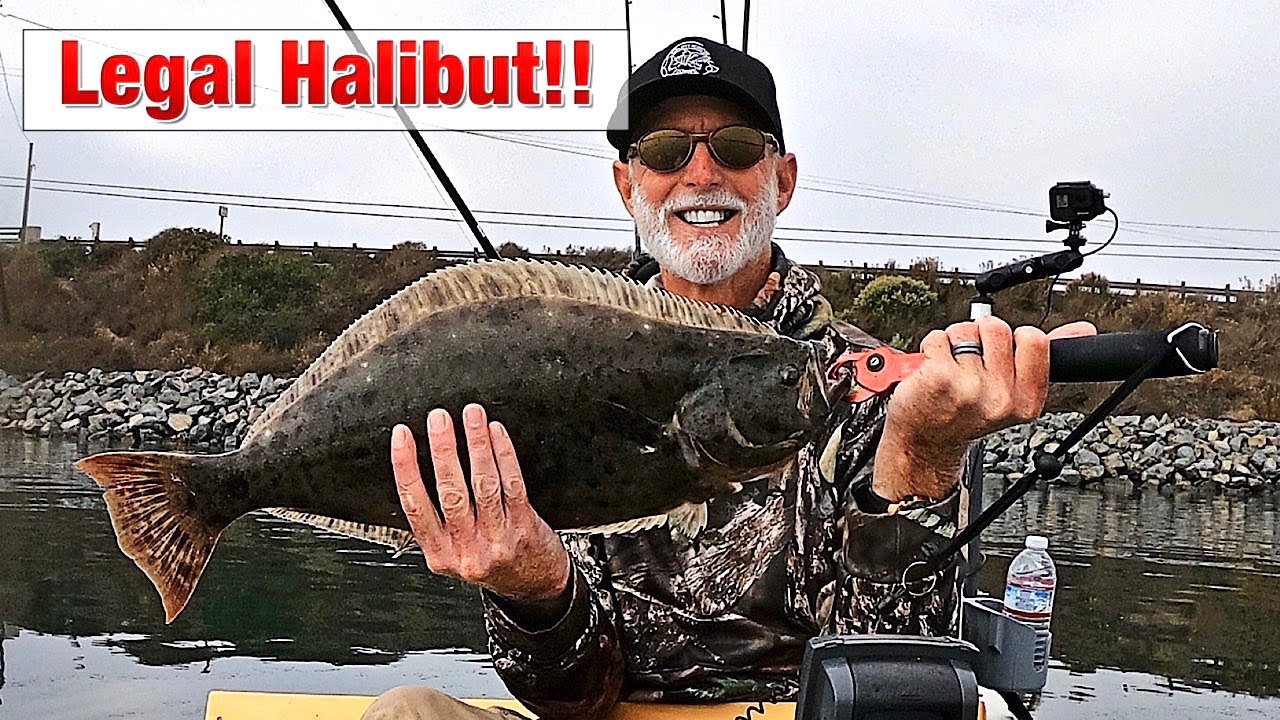 Legal Halibut from the Kayak in Huntington Harbour! YouTube
