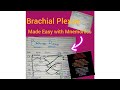 Brachial Plexus with Mnemonics|written notes#anatomy#brachialplexus