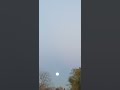 moon #fairyliberationfront 11-15-24 4:55 pm
