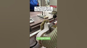 Phay Bản Lề - Đục Ổ Khoá Cửa Gỗ Công Nghiệp - Holztek - HT-3000-S2R4 #daiphucvinhcnc