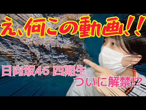 【日向坂46 四期生】突然の発表に慌てるオタク
