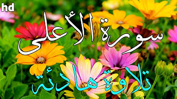 سورة الأعلى🎧💙تلاوة هادئة 💙القارئ محمد مطار 💙بصوت جميل جدا.
