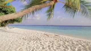 Vilamendhoo - All Inclusive På Maldiverne Nyhavn Rejser