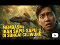 Kiamat Ekosistem Ciliwung: Alasan Ikan "Monster" Amazon Ini Bikin Gubernur Panik!