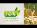 قطاف الأفانين الحلقة الثالثة عشر قطاف الأفانين الحلقة الثالثة عشر