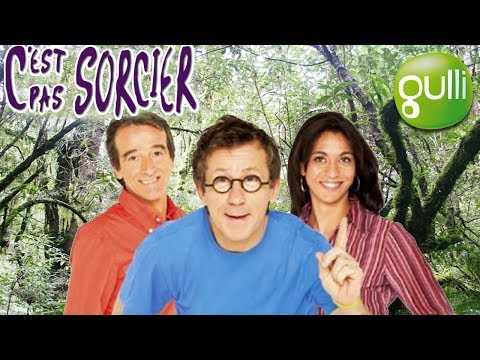BANDE ANNONCE : Retrouvez FRED JAMY et SABINE avec C'EST PAS SORCIER tous les mercredis sur Gulli !!