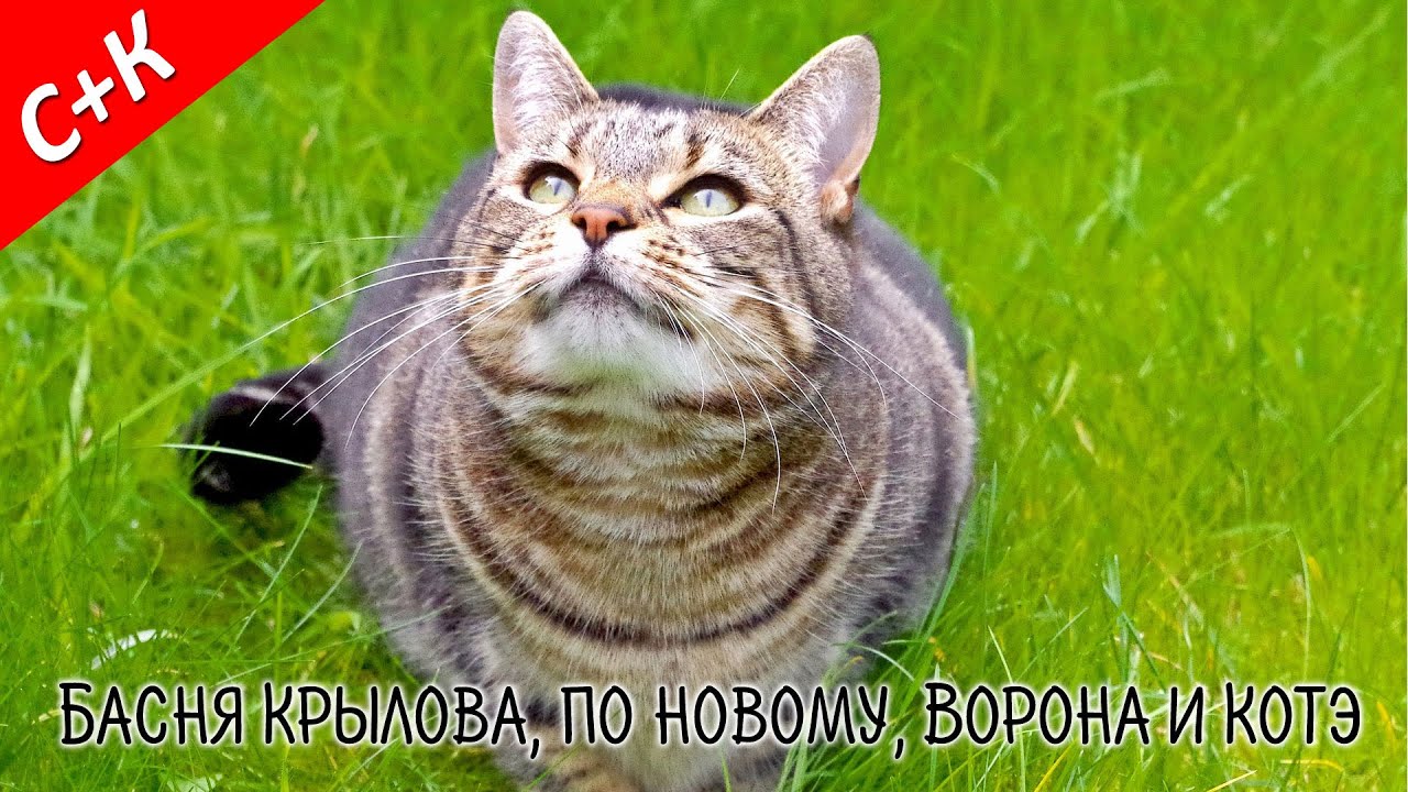https://i.ytimg.com/vi/XQft7aoNTxY/maxresdefault.jpg