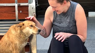 We spent $15000 on a street dog by GeoBeats Animals 180,620 views 12 days ago 3 minutes, 57 seconds